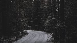 Preview wallpaper trees, forest, road, turn, dark