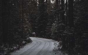 Preview wallpaper trees, forest, road, turn, dark