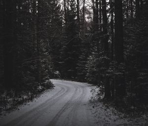 Preview wallpaper trees, forest, road, turn, dark