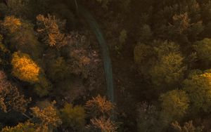 Preview wallpaper trees, forest, road, aerial view