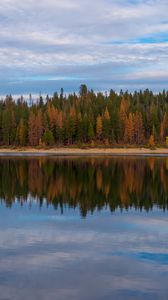 Preview wallpaper trees, forest, shore, reflection, lake, nature