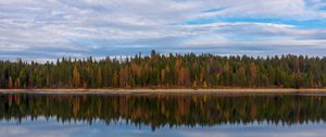 Preview wallpaper trees, forest, shore, reflection, lake, nature