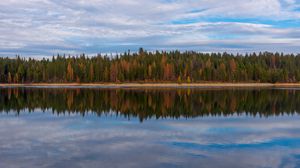 Preview wallpaper trees, forest, shore, reflection, lake, nature