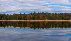 Preview wallpaper trees, forest, shore, reflection, lake, nature
