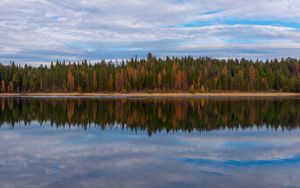 Preview wallpaper trees, forest, shore, reflection, lake, nature