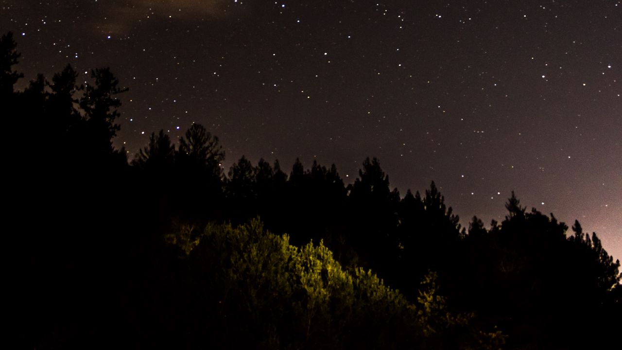 Wallpaper trees, forest, silhouettes, stars, night, nature