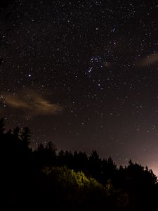 Preview wallpaper trees, forest, silhouettes, stars, night, nature