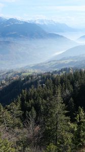 Preview wallpaper trees, forest, slope, valley, mountains, fog