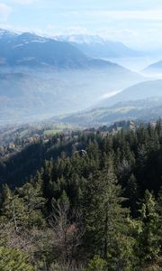 Preview wallpaper trees, forest, slope, valley, mountains, fog