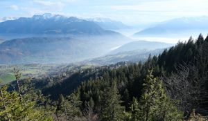 Preview wallpaper trees, forest, slope, valley, mountains, fog