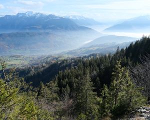 Preview wallpaper trees, forest, slope, valley, mountains, fog