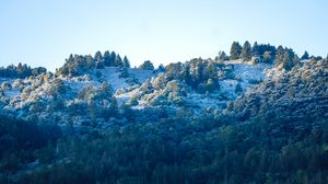 Preview wallpaper trees, forest, slope, river, nature