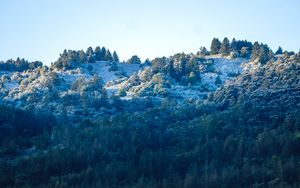 Preview wallpaper trees, forest, slope, river, nature
