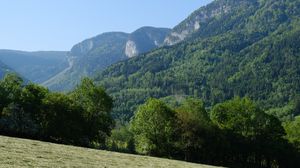 Preview wallpaper trees, forest, slope, landscape, nature