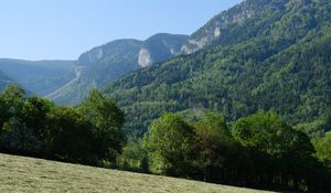 Preview wallpaper trees, forest, slope, landscape, nature