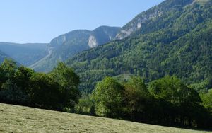 Preview wallpaper trees, forest, slope, landscape, nature