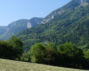 Preview wallpaper trees, forest, slope, landscape, nature