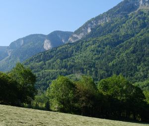 Preview wallpaper trees, forest, slope, landscape, nature