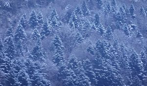 Preview wallpaper trees, forest, snow, winter, nature, landscape