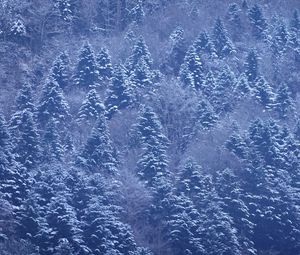 Preview wallpaper trees, forest, snow, winter, nature, landscape