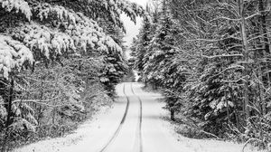 Preview wallpaper trees, forest, snow, road, winter, nature