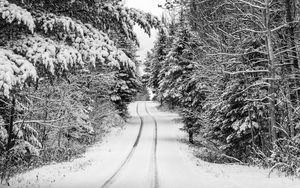 Preview wallpaper trees, forest, snow, road, winter, nature