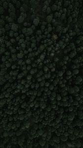 Preview wallpaper trees, forest, top view, green