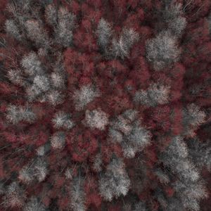 Preview wallpaper trees, forest, top view, red