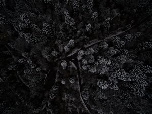 Preview wallpaper trees, forest, top view, snow-covered, switzerland