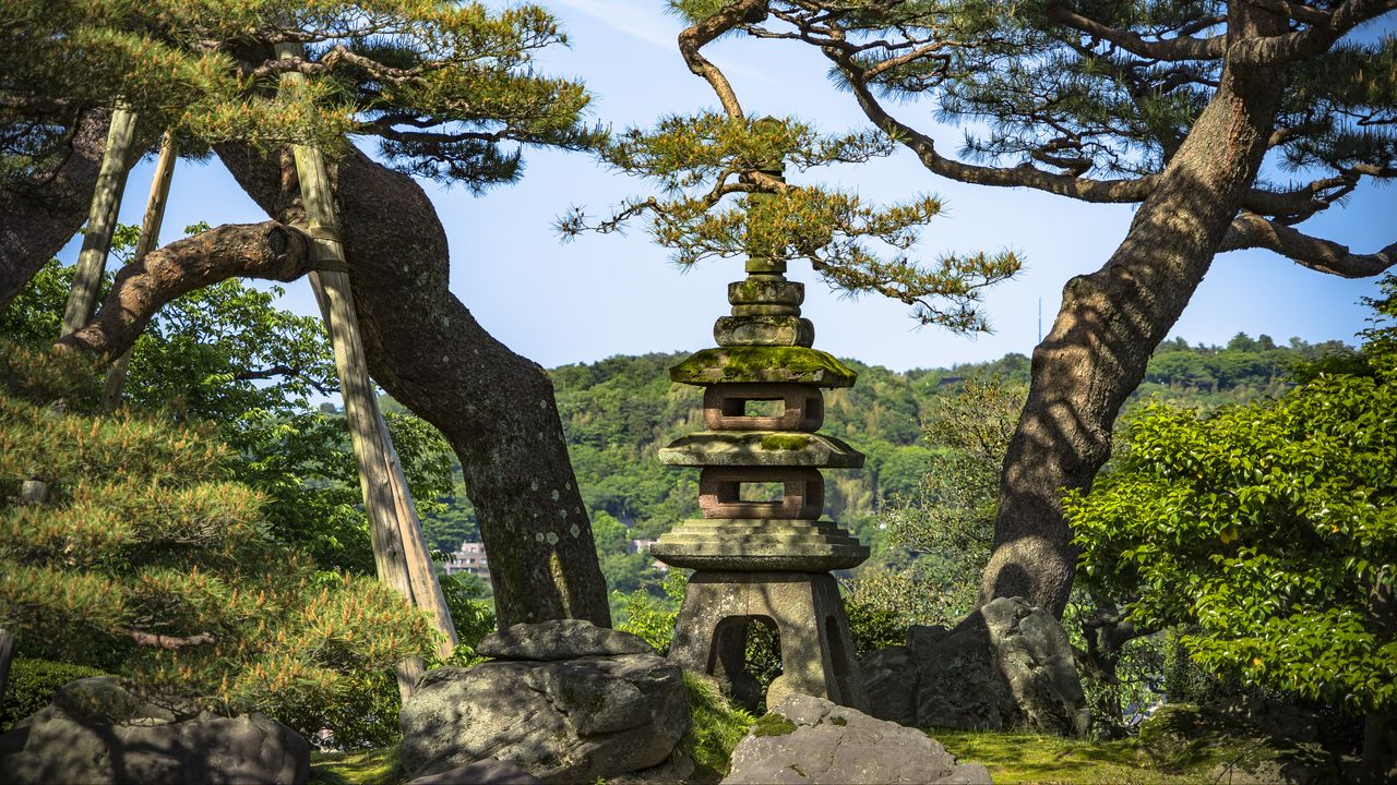 Wallpaper trees, forest, tower, sanctuary, architecture