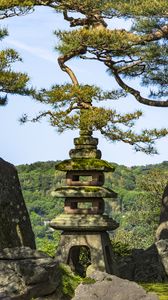 Preview wallpaper trees, forest, tower, sanctuary, architecture