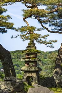 Preview wallpaper trees, forest, tower, sanctuary, architecture