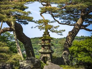 Preview wallpaper trees, forest, tower, sanctuary, architecture