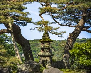 Preview wallpaper trees, forest, tower, sanctuary, architecture