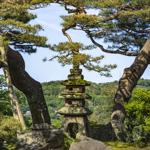 Preview wallpaper trees, forest, tower, sanctuary, architecture