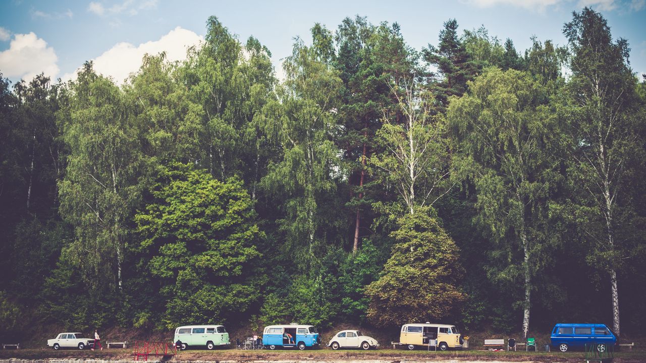 Wallpaper trees, forest, vans, camping