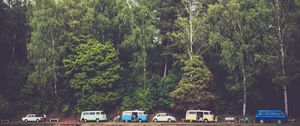 Preview wallpaper trees, forest, vans, camping