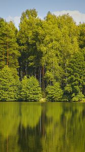 Preview wallpaper trees, forest, water, reflection, lake