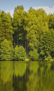 Preview wallpaper trees, forest, water, reflection, lake