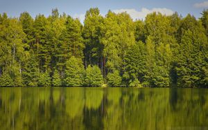 Preview wallpaper trees, forest, water, reflection, lake