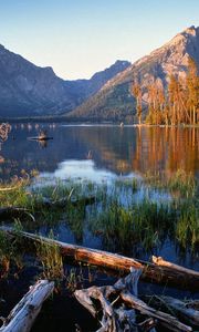 Preview wallpaper trees, fragments, lake, grass, mountains