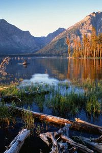 Preview wallpaper trees, fragments, lake, grass, mountains