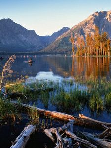 Preview wallpaper trees, fragments, lake, grass, mountains