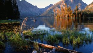 Preview wallpaper trees, fragments, lake, grass, mountains