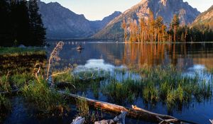 Preview wallpaper trees, fragments, lake, grass, mountains