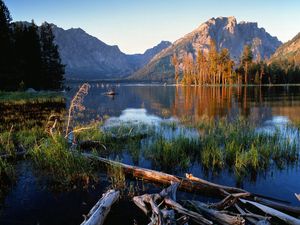 Preview wallpaper trees, fragments, lake, grass, mountains