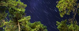 Preview wallpaper trees, freezelight, starry sky, nature