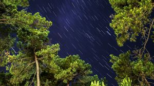 Preview wallpaper trees, freezelight, starry sky, nature