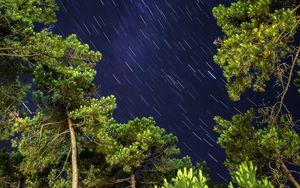 Preview wallpaper trees, freezelight, starry sky, nature