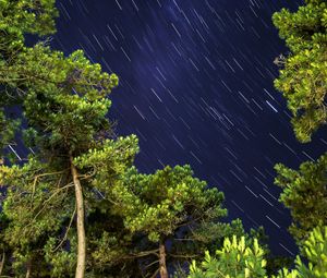 Preview wallpaper trees, freezelight, starry sky, nature